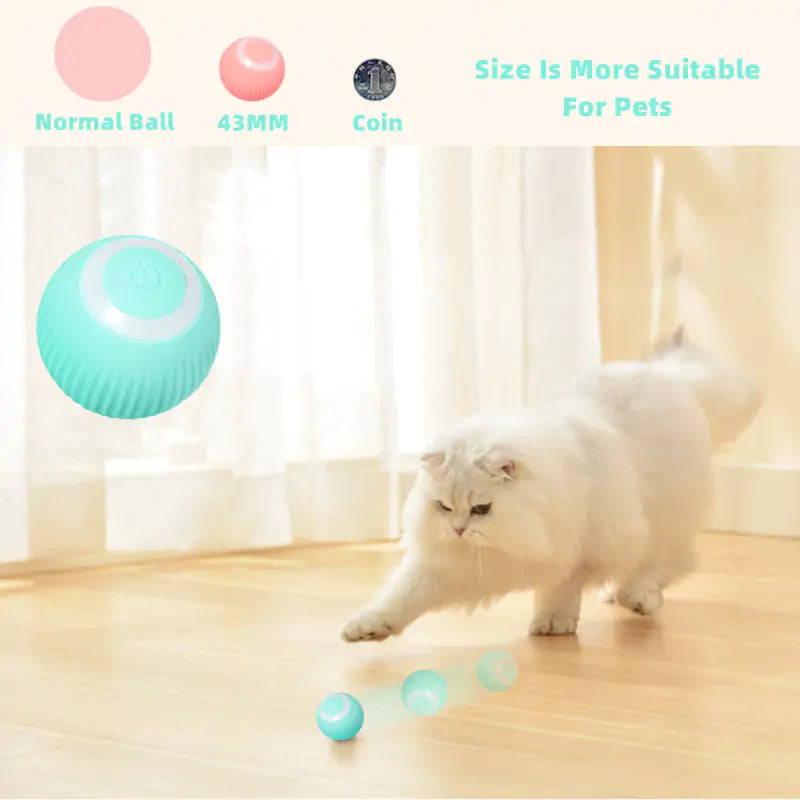 Smart Interactive Ball