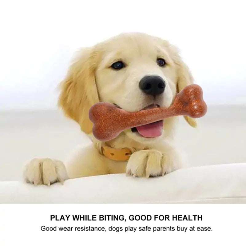 Dog's Tough Bone Toy