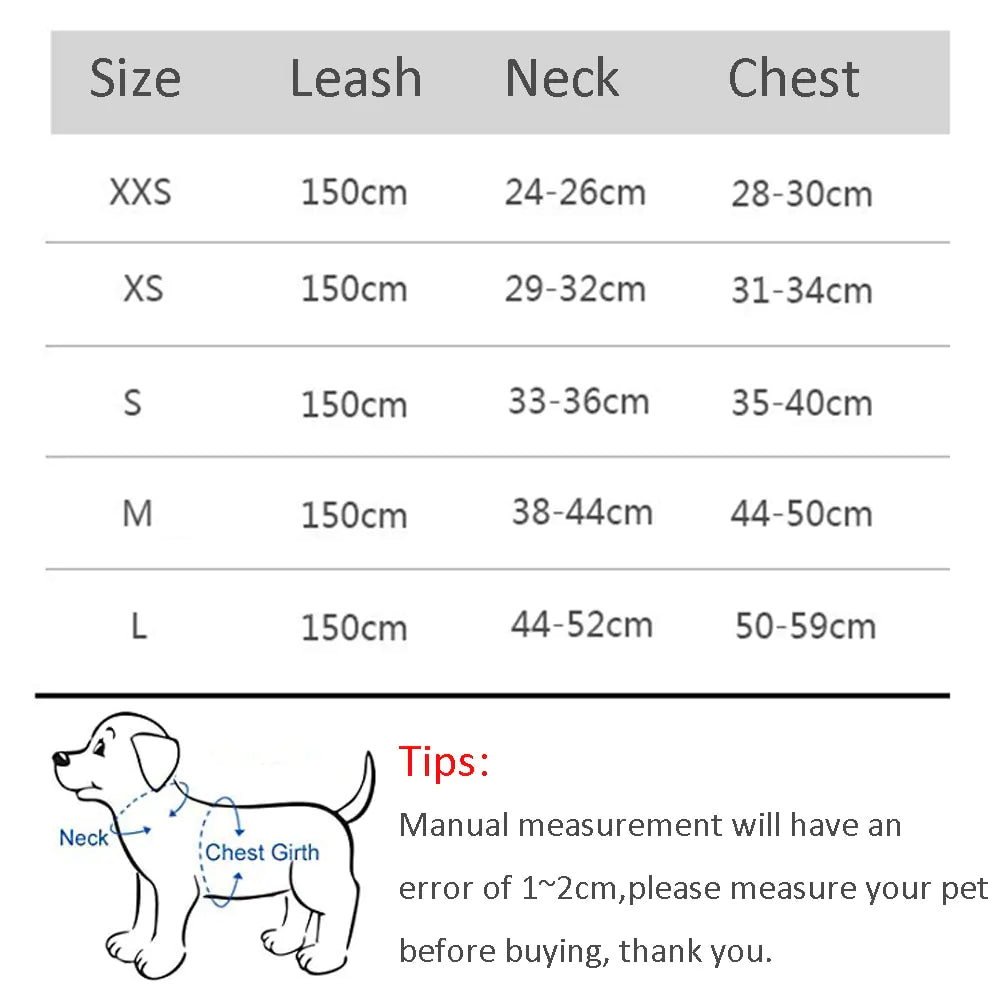 Harness Leash Set for Small Dogs