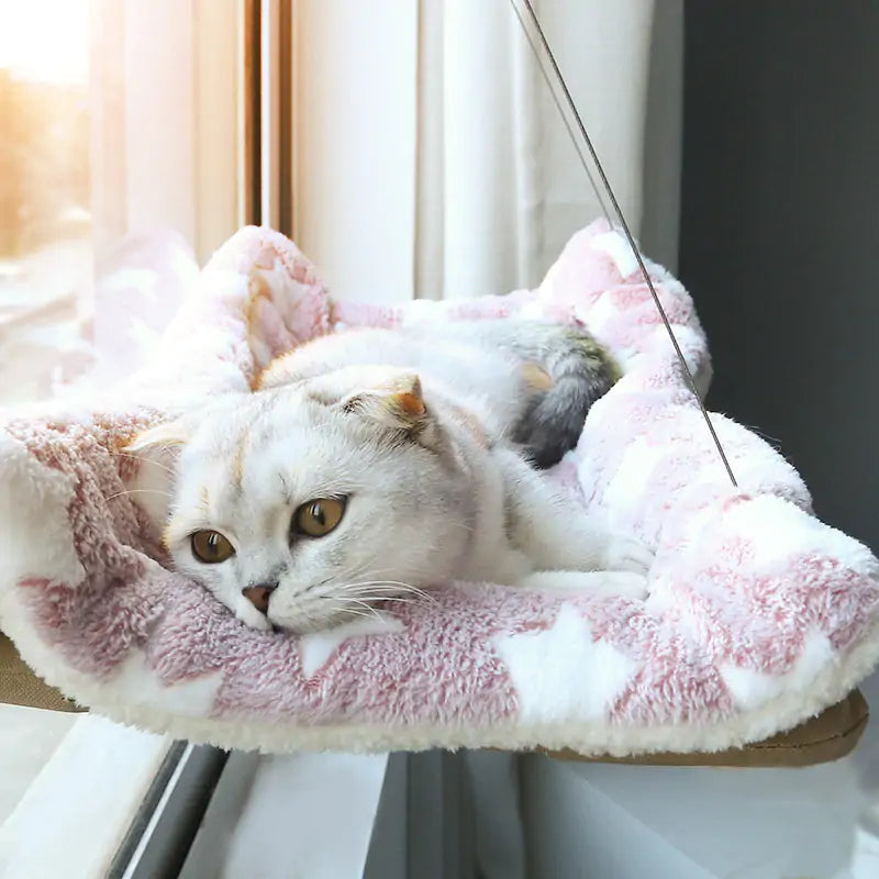 Cat's Window Hammock With Cushion