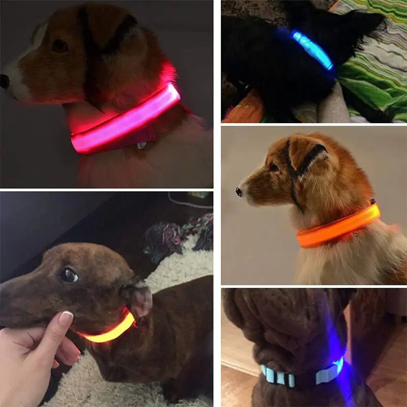 LED Glowing Collar For Pets