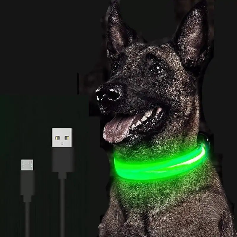 LED Glowing Collar For Pets