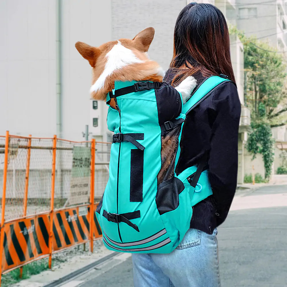 Outdoor Bag for Dogs