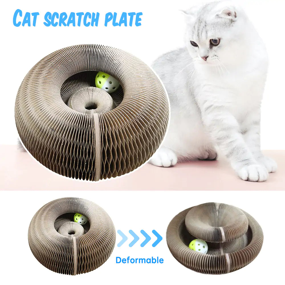 Magic Cat Scratching Board