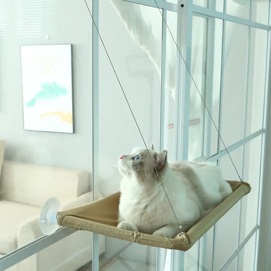 Cat's Window Hammock With Cushion